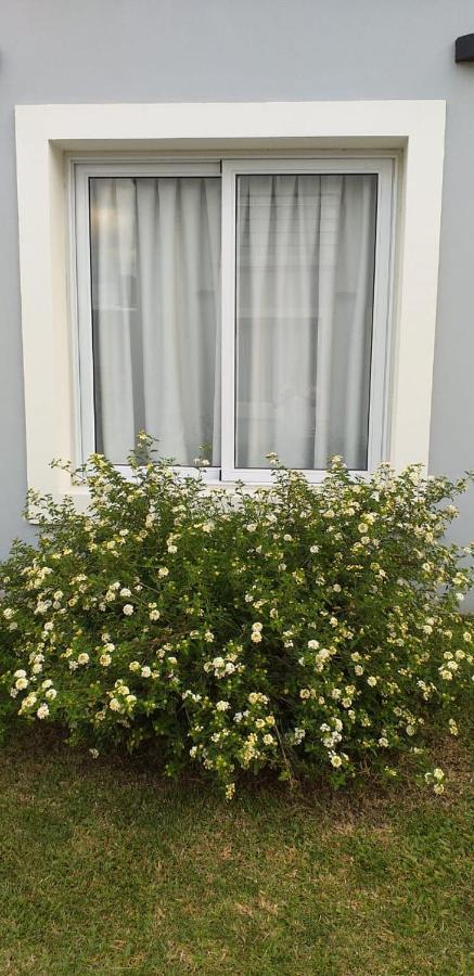 Las Toscas Apart Curuzu Cuatia ภายนอก รูปภาพ